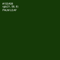 #153A08 - Palm Leaf Color Image